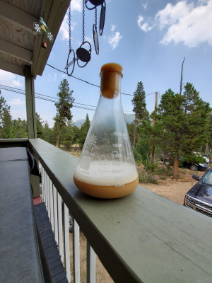 Yeast Starter